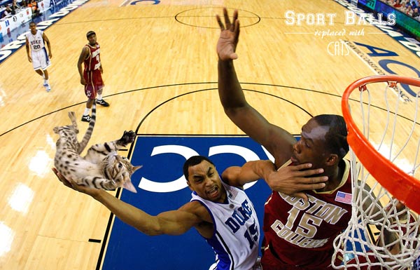 ACC Basketball Tournament - Boston College vs Duke